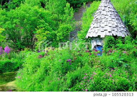北海道紀行 6月の上野ファーム 午後のガーデン 北海道紀行 6月の上野ファーム 午後のガーデン 105520313