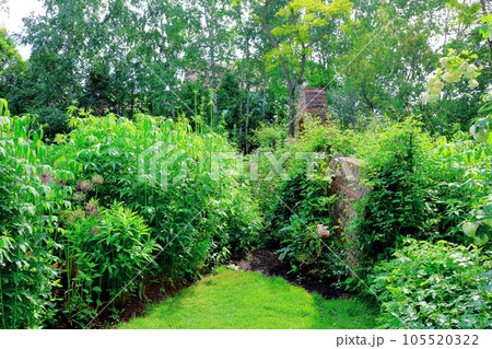 北海道紀行 6月の上野ファーム 午後のガーデン 北海道紀行 6月の上野ファーム 午後のガーデン 105520322