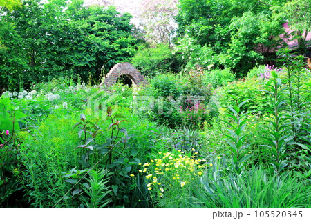 北海道紀行 6月の上野ファーム 午後のガーデン 北海道紀行 6月の上野ファーム 午後のガーデン 105520345