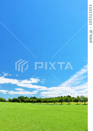 爽やかな夏の青空 新緑の公園風景 爽やかな夏の青空 新緑の公園風景 105521053