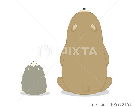 お月見をするクマとハリネズミのイラスト お月見をするクマとハリネズミのイラスト 105522159