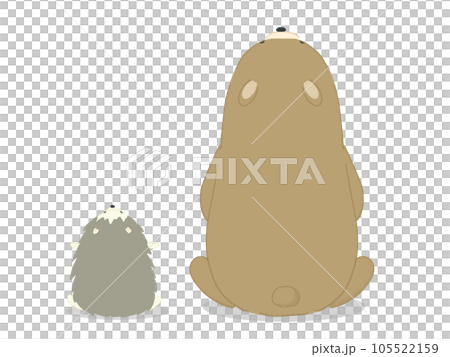 お月見をするクマとハリネズミのイラスト お月見をするクマとハリネズミのイラスト 105522159