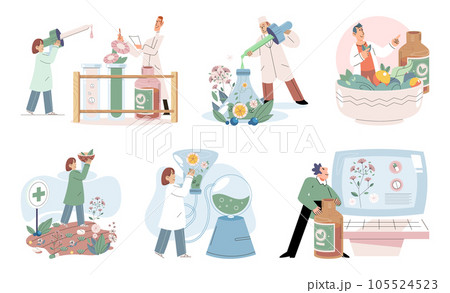 Herbal oils natural medicines. Scientist or doctor making alternative medicine herb, mortar, laboratory glassware plant in tube, flower. Doctor checking medicinal herbs. Herbal medicine. Drug research Herbal oils natural medicines. Scientist or doctor making alternative medicine herb, mortar, laboratory glassware plant in tube, flower. Doctor checking medicinal herbs. Herbal medicine. Drug research 105524523