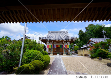 京都南山城・蟹萬時・蟹の恩返し 京都南山城・蟹萬時・蟹の恩返し 105524546