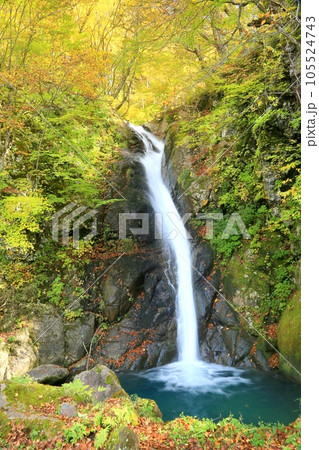 秋山郷・大瀬ノ滝の紅葉 秋山郷・大瀬ノ滝の紅葉 105524743