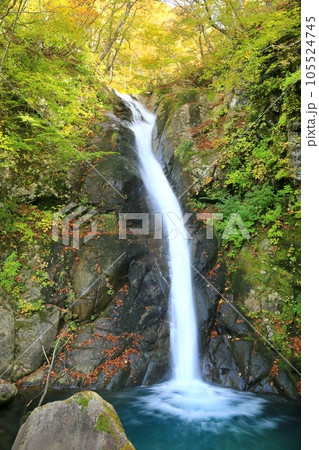 秋山郷・大瀬ノ滝の紅葉 105524745