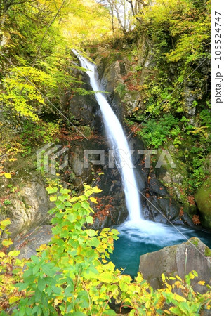 秋山郷・大瀬ノ滝の紅葉 秋山郷・大瀬ノ滝の紅葉 105524747