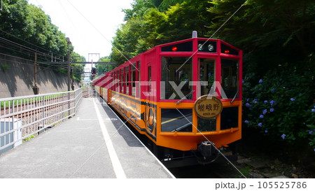 嵯峨野 嵐山町 京都嵐山 105525786