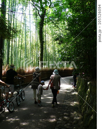 嵐山町 京都嵐山 嵐山渓谷 105526094