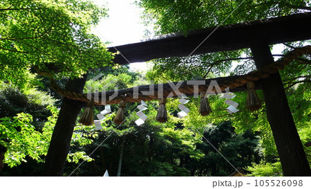 嵐山町 京都嵐山 嵐山渓谷 105526098