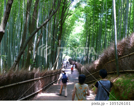 嵐山町 京都嵐山 嵐山渓谷 105526101