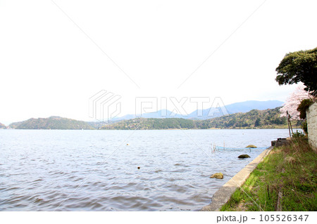 水月湖  桜と水月湖　桜と三方五湖　三方湖　水月湖標識　三方五湖　若狭町　福井県　桜　春景色 105526347
