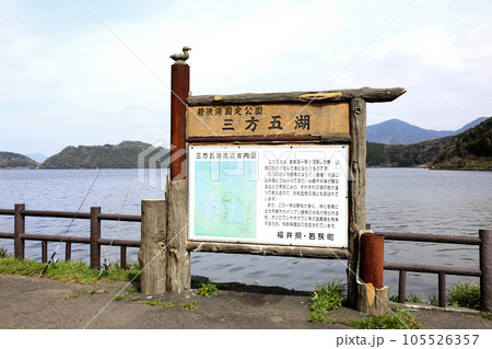 水月湖  桜と水月湖　桜と三方五湖　三方湖　水月湖標識　三方五湖　若狭町　福井県　桜　春景色 105526357