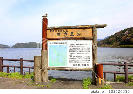 水月湖  桜と水月湖　桜と三方五湖　三方湖　水月湖標識　三方五湖　若狭町　福井県　桜　春景色 105526359