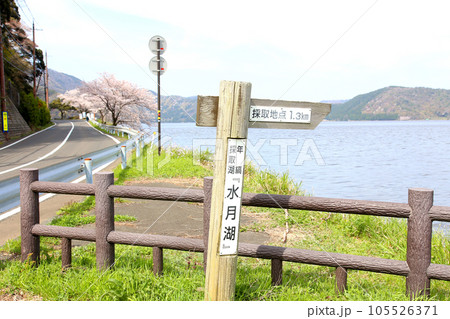 水月湖  桜と水月湖　桜と三方五湖　三方湖　水月湖標識　三方五湖　若狭町　福井県　桜　春景色 105526371
