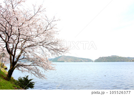 水月湖  桜と水月湖　桜と三方五湖　三方湖　水月湖標識　三方五湖　若狭町　福井県　桜　春景色 105526377