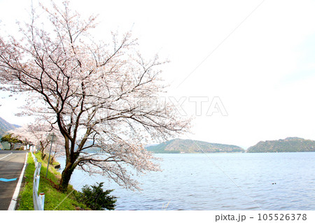 水月湖 桜と水月湖 桜と三方五湖 三方湖 水月湖標識 三方五湖 若狭町 福井県 桜 春景色 水月湖 桜と水月湖 桜と三方五湖 三方湖 水月湖標識 三方五湖 若狭町 福井県 桜 春景色 105526378