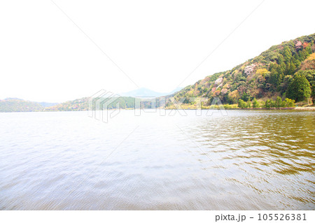水月湖  桜と水月湖　桜と三方五湖　三方湖　水月湖標識　三方五湖　若狭町　福井県　桜　春景色 105526381