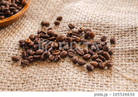 コーヒー豆　ルワンダ産ロブスタ種 105526638