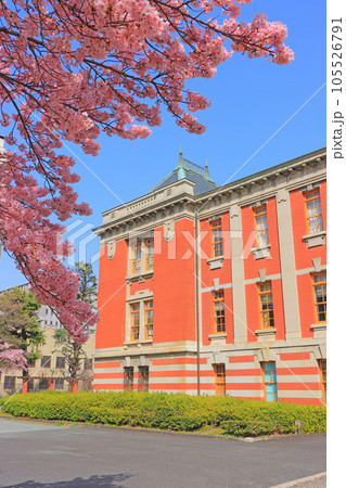 名古屋市、名古屋市市政資料館と桜の風景 名古屋市、名古屋市市政資料館と桜の風景 105526791