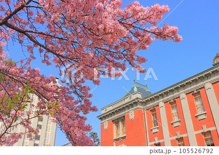 名古屋市、名古屋市市政資料館と桜の風景 名古屋市、名古屋市市政資料館と桜の風景 105526792