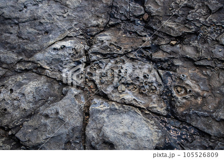 須佐ホルンフェルス、海岸の変成岩 105526809