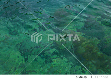 若狭　若狭遊子　遊子海水浴場　福井県若狭町　桜と若狭　漁船　イカ釣り漁船　若狭湾　日本海　常神半島　 105527288