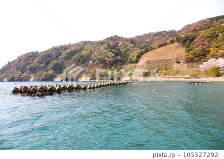 若狭 若狭遊子 遊子海水浴場 福井県若狭町 桜と若狭 漁船 イカ釣り漁船 若狭湾 日本海 常神半島 若狭 若狭遊子 遊子海水浴場 福井県若狭町 桜と若狭 漁船 イカ釣り漁船 若狭湾 日本海 常神半島 105527292