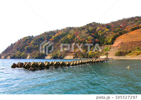 若狭　若狭遊子　遊子海水浴場　福井県若狭町　桜と若狭　漁船　イカ釣り漁船　若狭湾　日本海　常神半島　 105527297
