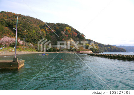 若狭 若狭遊子 遊子海水浴場 福井県若狭町 桜と若狭 漁船 イカ釣り漁船 若狭湾 日本海 常神半島 若狭 若狭遊子 遊子海水浴場 福井県若狭町 桜と若狭 漁船 イカ釣り漁船 若狭湾 日本海 常神半島 105527305