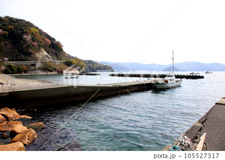 若狭　若狭遊子　遊子海水浴場　福井県若狭町　桜と若狭　漁船　イカ釣り漁船　若狭湾　日本海　常神半島　 105527317
