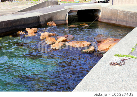 若狭　若狭遊子　遊子海水浴場　福井県若狭町　桜と若狭　漁船　イカ釣り漁船　若狭湾　日本海　常神半島　 105527435