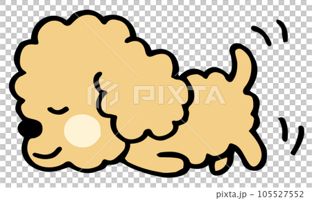 Loosely hand-painted toy poodle pose crawling forward 105527552