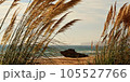 Golden Grass and Rocky Shoreline: A Serene Beachscape. Horizontal banner 105527766