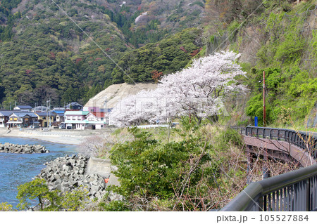 若狭 小川漁港 若狭小川 海釣り公園三方 福井県若狭町 常神三方線 若狭小川町 若狭湾 日本海 若狭 小川漁港 若狭小川 海釣り公園三方 福井県若狭町 常神三方線 若狭小川町 若狭湾 日本海 105527884