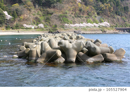 若狭 小川漁港 若狭小川 海釣り公園三方 福井県若狭町 常神三方線 若狭小川町 若狭湾 日本海 若狭 小川漁港 若狭小川 海釣り公園三方 福井県若狭町 常神三方線 若狭小川町 若狭湾 日本海 105527904