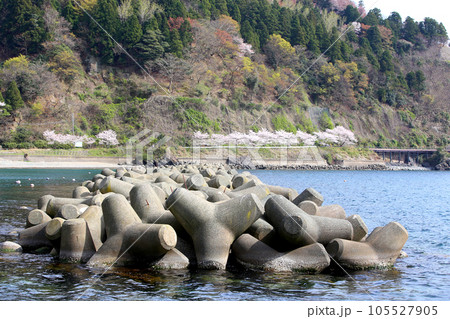 若狭　小川漁港　若狭小川　海釣り公園三方　福井県若狭町　常神三方線　若狭小川町　若狭湾　日本海　 105527905
