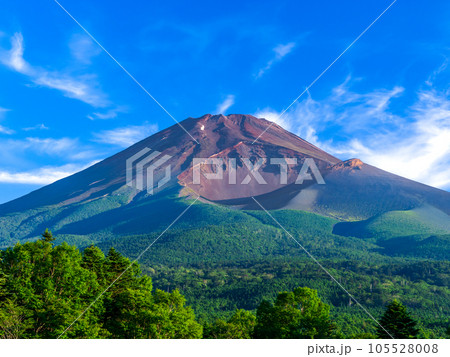水が塚公園からの夏の富士山 105528008