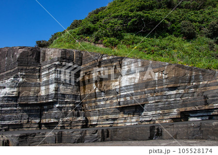 国指定名勝 日本海の絶景、須佐ホルンフェルス 国指定名勝 日本海の絶景、須佐ホルンフェルス 105528174
