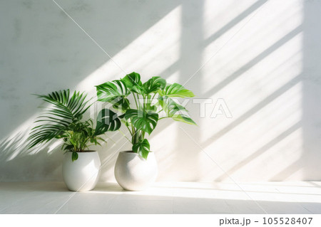 Potted green plants with white wall on the background. Sun rays. Houseplants. Generative AI 105528407