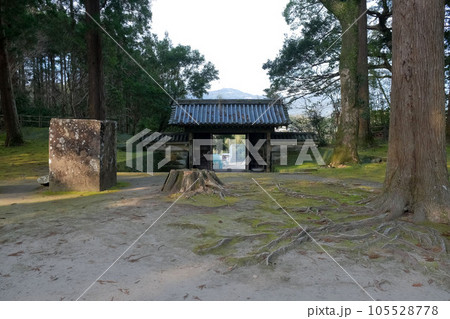 飫肥城の旧本丸跡に生えている飫肥杉と巨大な石、背景に見える裏門 飫肥城の旧本丸跡に生えている飫肥杉と巨大な石、背景に見える裏門 105528778