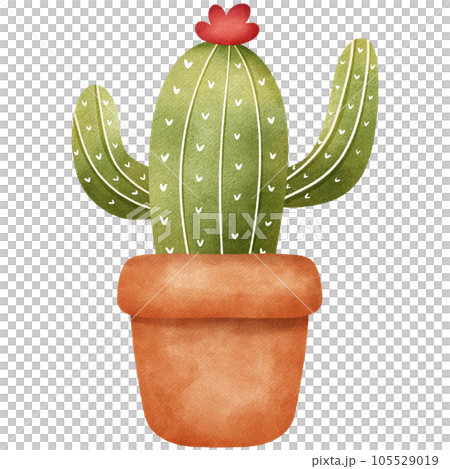 cactus in a pot isolated with handdraw pencilcolor by hand drawing 105529019