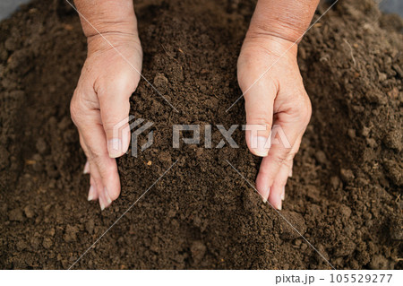 Woman hands touching soil on the field. Expert hand of farmer checking soil health before growth a seed of vegetable or plant seedling. Business or ecology concept. 105529277