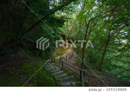 笠置山の遊歩道 105529806