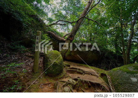 笠置山の太鼓石 105529807