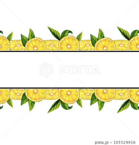 Watercolor frame lemon slice. Template. Hand drawn botanical illustration of yellow citrus fruits isolated on white background. Clipart objects for design and decoration, package, cards 105529916