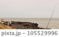 A Relaxed Fisherman Awaits His Catch Against a Beautiful Coastal Backdrop 105529996