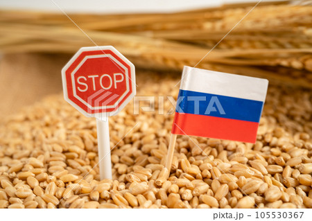 Grains wheat with Russia flag with stop sign, trade export and economy concept. Grains wheat with Russia flag with stop sign, trade export and economy concept. 105530367