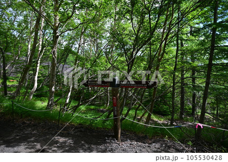 快晴の富士登山 105530428