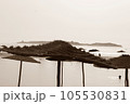Sepia-Toned Straw Umbrellas on Beach Overlooking the Ocean. 105530831